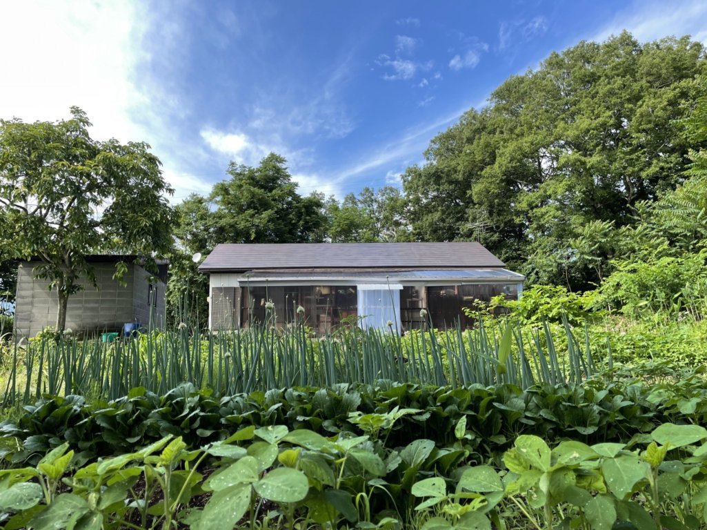 やっぱり田舎は最高です！初夏の磐梯山と猪苗代湖。_f0023333_23013101.jpg