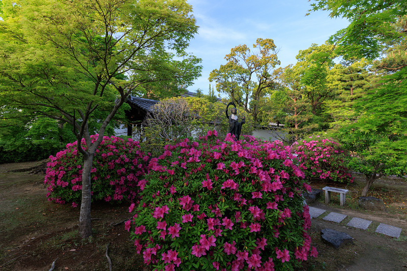 ツツジ咲く智積院_f0155048_23011725.jpg