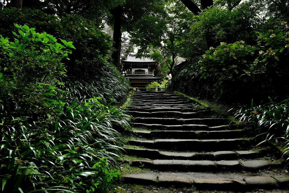 北鎌倉「浄智寺」_a0247450_06521325.jpg
