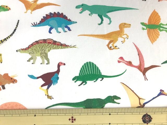 布「カラフルな恐竜たち」_d0156706_13130178.jpg