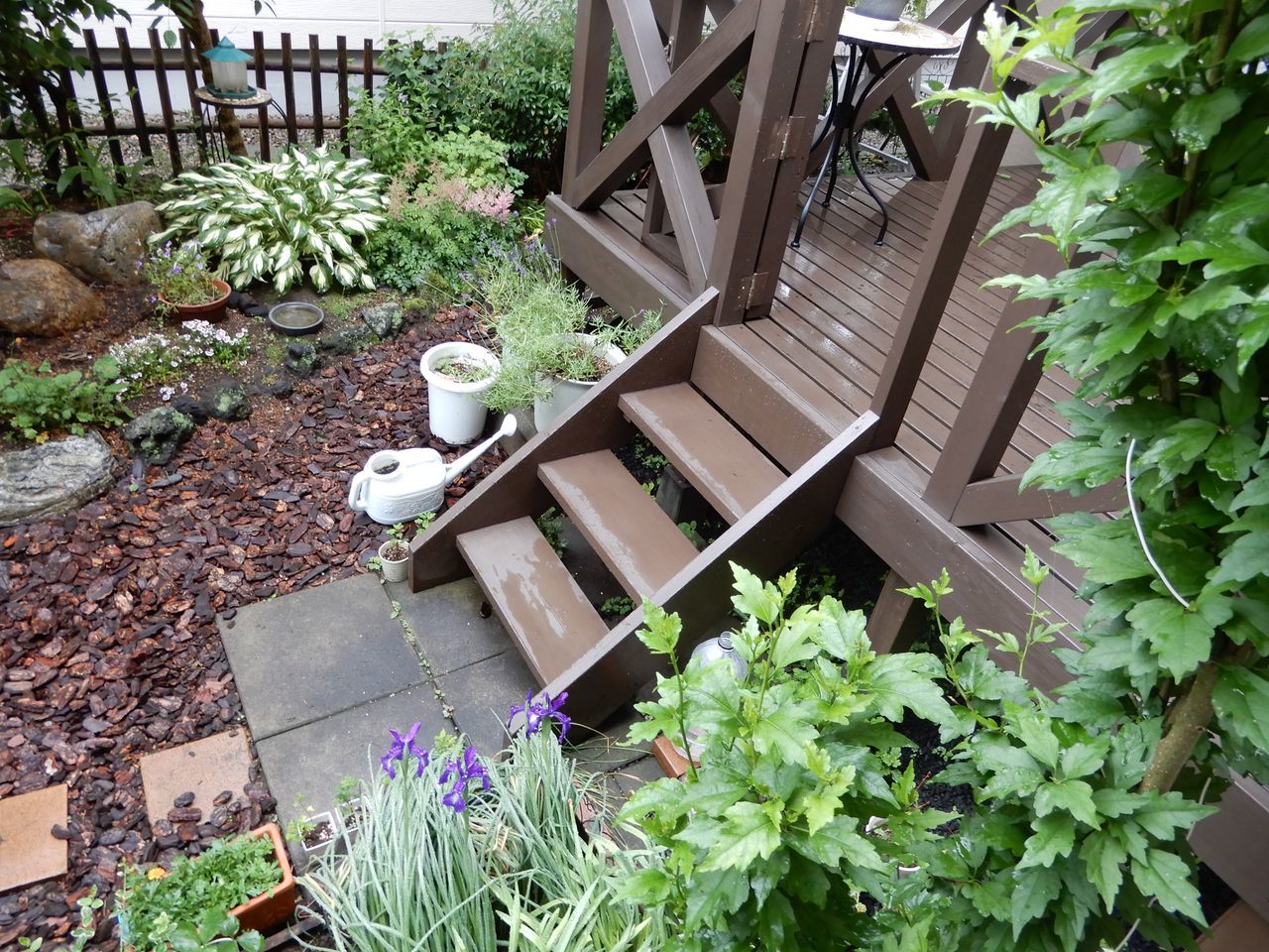 雨上がり_c0025115_21421698.jpg