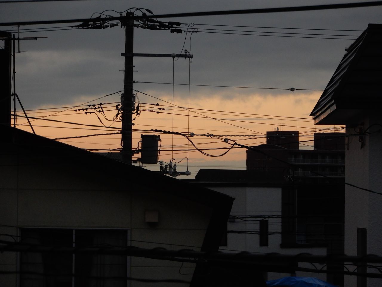 雨上がり_c0025115_21523409.jpg