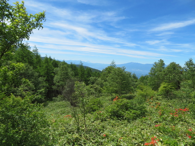 つつじ平散策　湯ノ丸山 (2,101M)   PART 1_d0170615_18103142.jpg