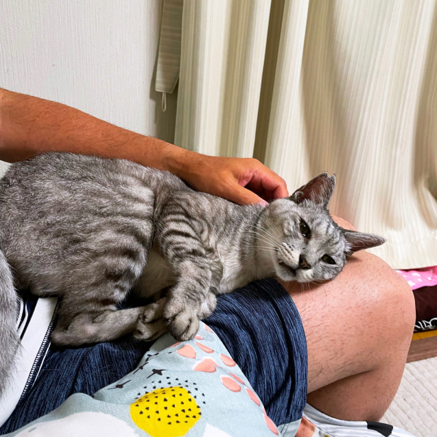 なっちゃんも負けずに!_d0355333_21294751.jpg
