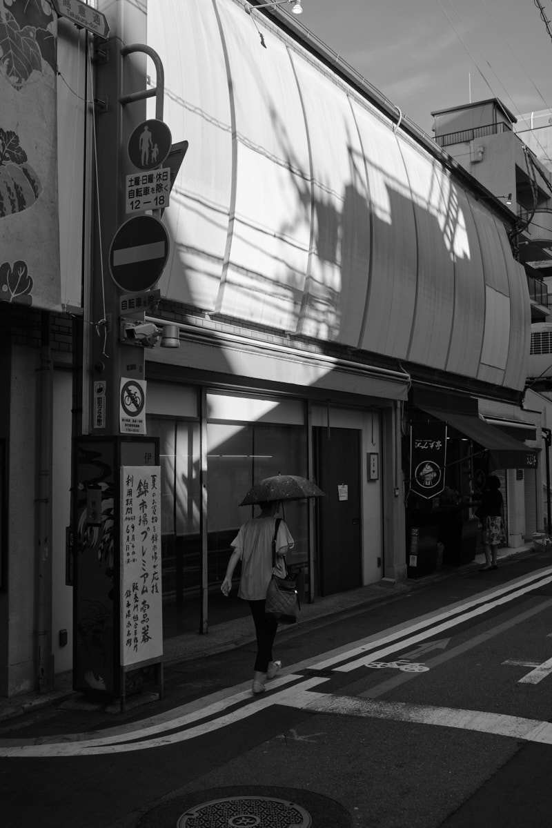 梅雨明け_f0167977_15260126.jpg
