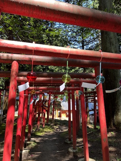 4年ぶり。盛岡〜紫波のおはなし(5)紫波水分神社の杉と紫和稲荷の御神木_a0191183_11004914.jpeg