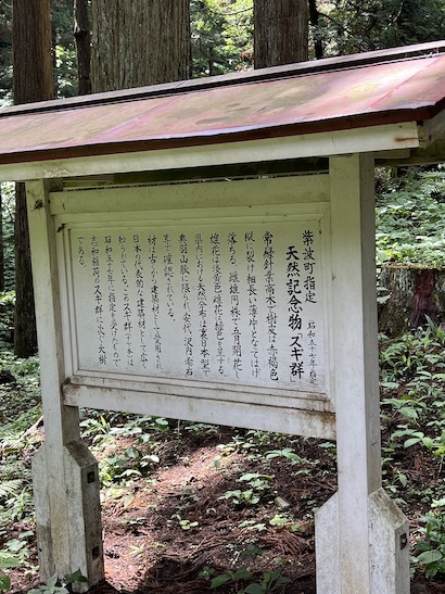 4年ぶり。盛岡〜紫波のおはなし(5)紫波水分神社の杉と紫和稲荷の御神木_a0191183_11004962.jpeg