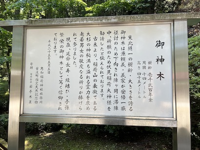 4年ぶり。盛岡〜紫波のおはなし(5)紫波水分神社の杉と紫和稲荷の御神木_a0191183_11004993.jpeg