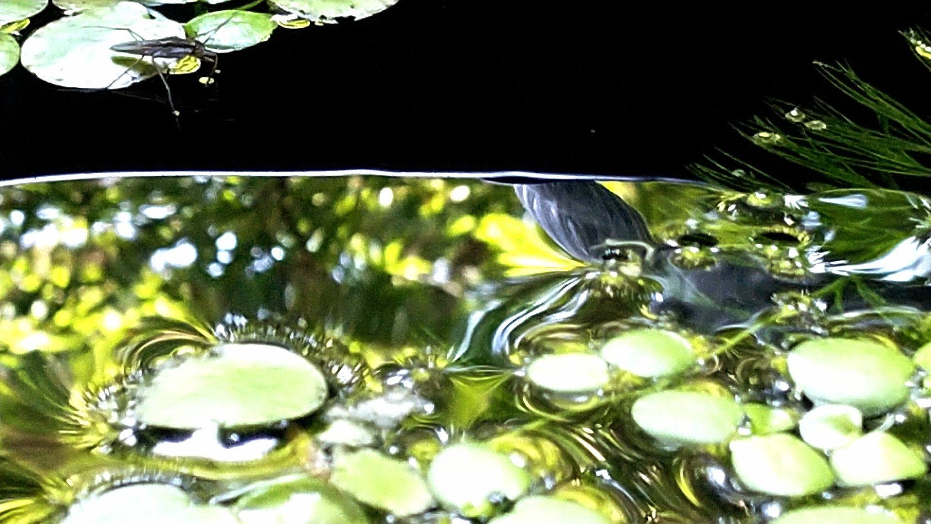 いま_f0155808_09313321.jpg