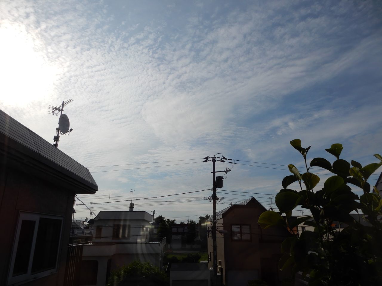 北海道は梅雨が明けても異常に暑くはならない_c0025115_22122190.jpg