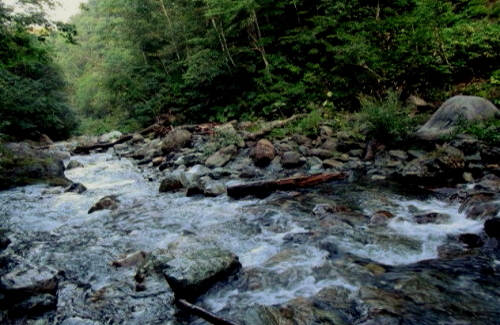 日本百名山の中で最難関といわれる北海道・日高山脈の最高峰_a0113718_00150271.jpg