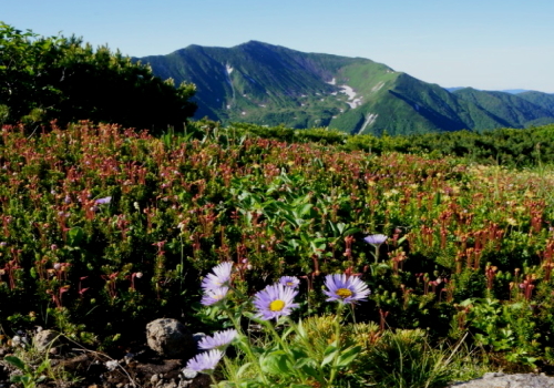 日本百名山の中で最難関といわれる北海道・日高山脈の最高峰_a0113718_00353082.jpg