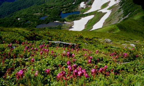 日本百名山の中で最難関といわれる北海道・日高山脈の最高峰_a0113718_00374329.jpg