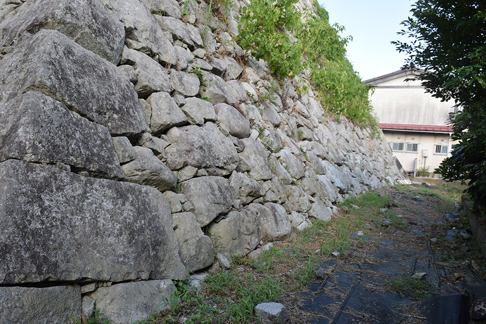 若狭の海城、小浜城跡を歩く。 その3 ~本丸石垣~_e0158128_19143280.jpg