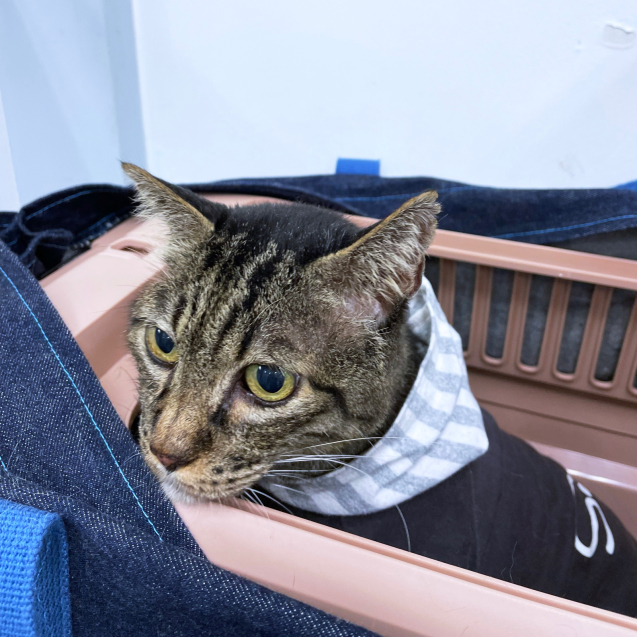 もう少しの我慢!_d0355333_22214208.jpg