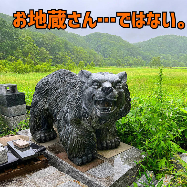 北広島かえるキャンプ場がオープン!じてキャンしてきました♪_d0197762_15073303.jpg