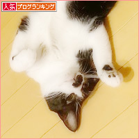 悩殺ポーズ_a0389088_16443734.jpg