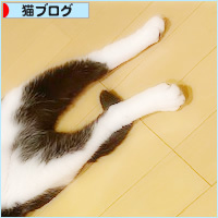 悩殺ポーズ_a0389088_16443749.jpg