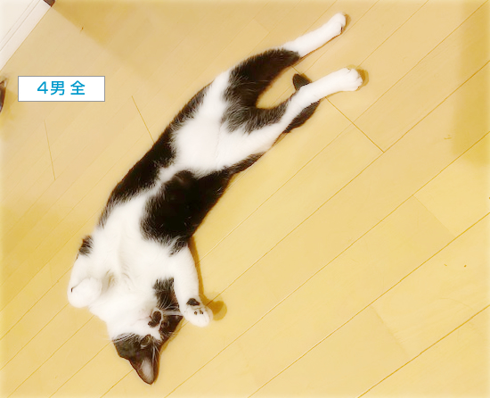 悩殺ポーズ_a0389088_16443767.jpg
