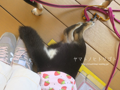 じょしーば_e0394031_08211296.jpg
