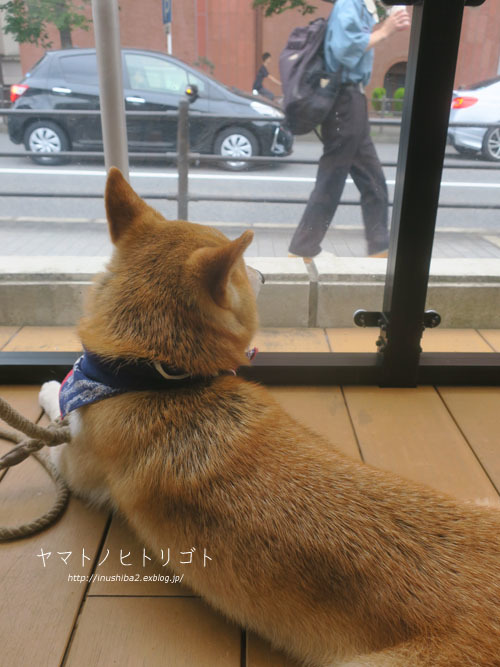 じょしーば_e0394031_08211618.jpg