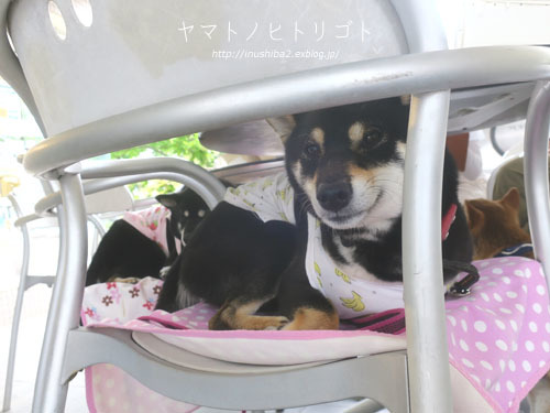 じょしーば_e0394031_08212389.jpg