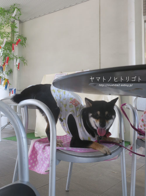 じょしーば_e0394031_08212565.jpg