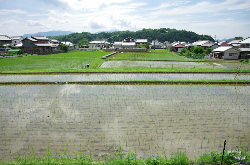 明日香村飛鳥_b0396833_09525360.jpg