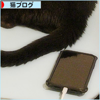 トトとエアコン_a0389088_20340810.jpg