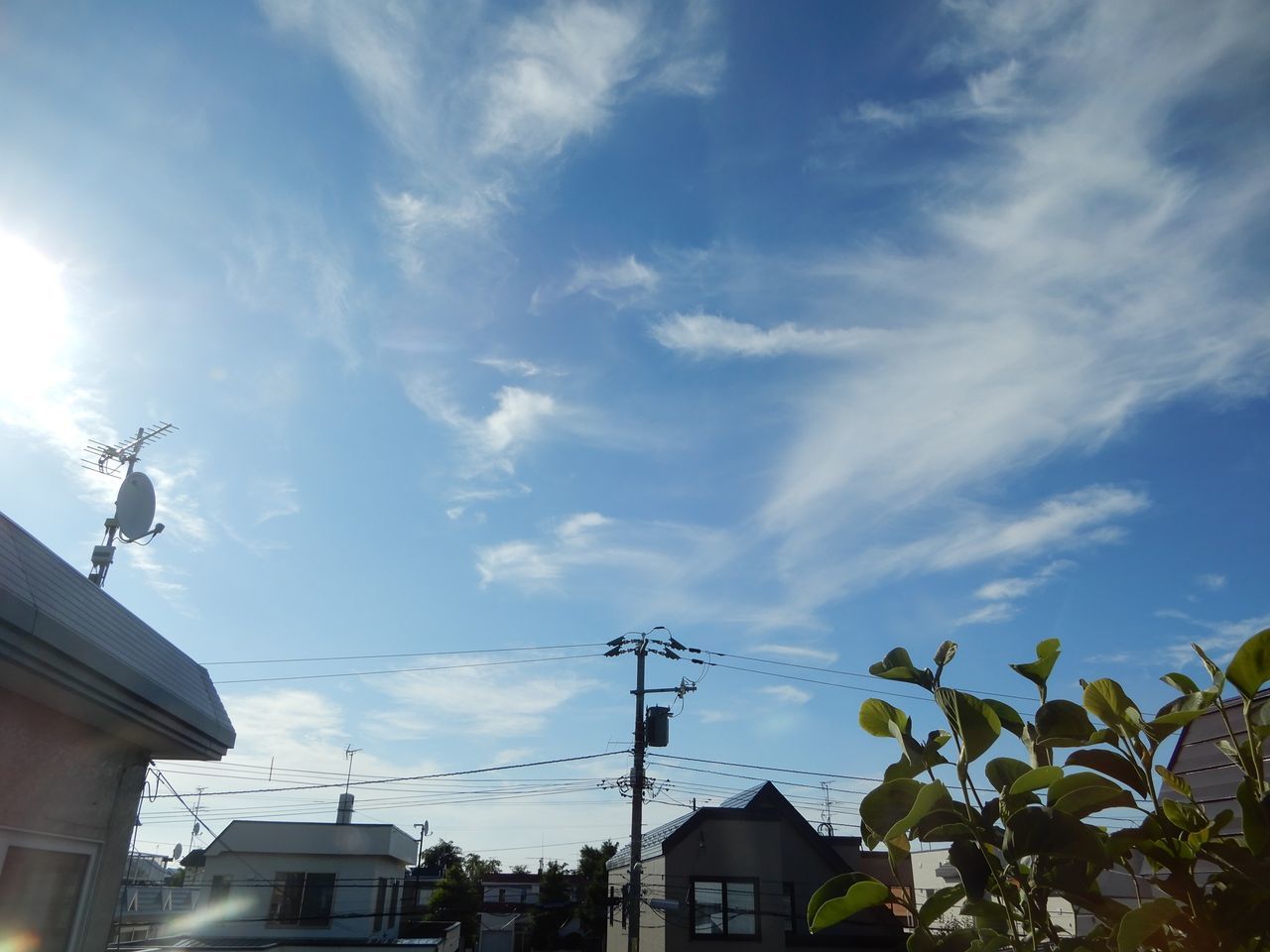 いきなり32℃になりました_c0025115_22322848.jpg