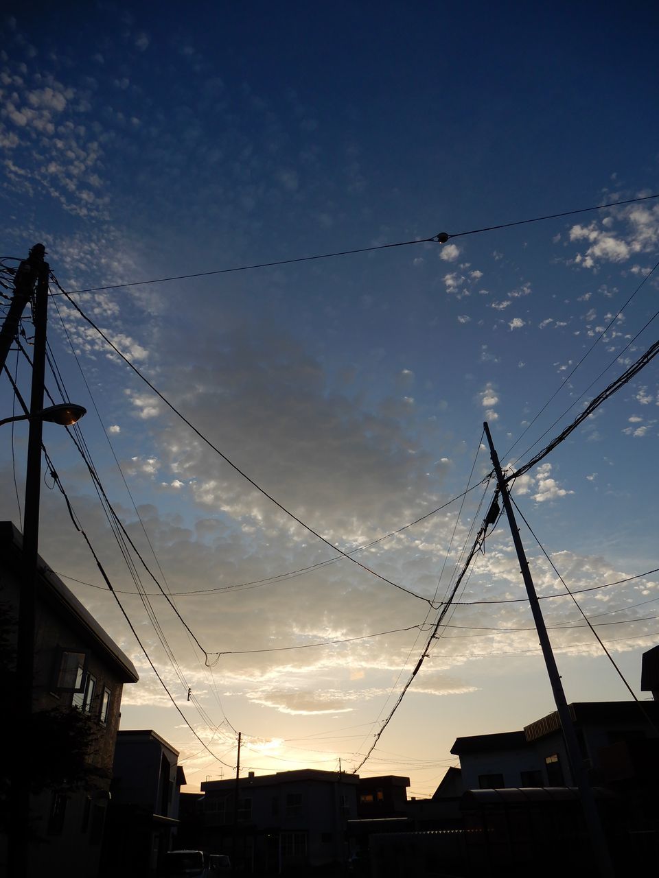 いきなり32℃になりました_c0025115_22420334.jpg