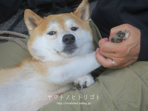 朝のトリミング_e0394031_08570147.jpg