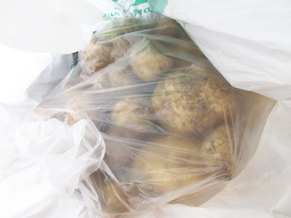 畑の野菜だけでカレー作ってみた・2022_c0152767_09061395.jpg