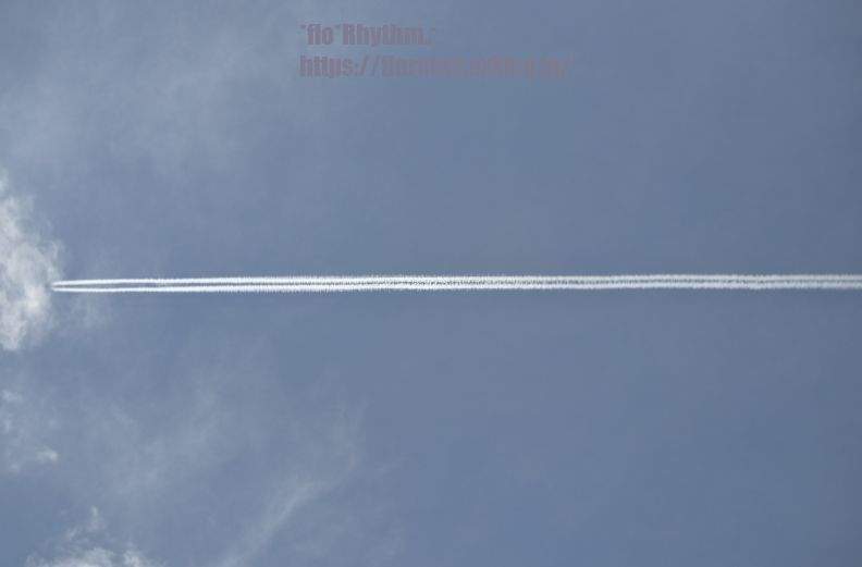 飛行機の涙_b0416369_14003607.jpg