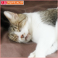 我が家に来て6年_a0389088_15272247.jpg