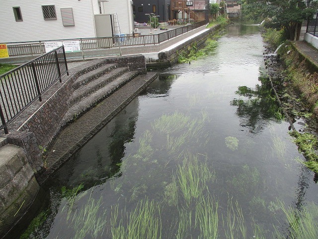 3月以来の田宿川の川そうじ　バリバリ刈って水位が大幅ダウン_f0141310_07535187.jpg
