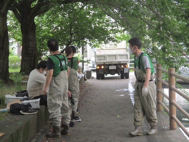 3月以来の田宿川の川そうじ バリバリ刈って水位が大幅ダウン_f0141310_07535948.jpg