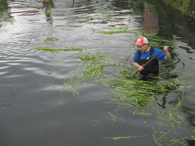 3月以来の田宿川の川そうじ　バリバリ刈って水位が大幅ダウン_f0141310_07541288.jpg