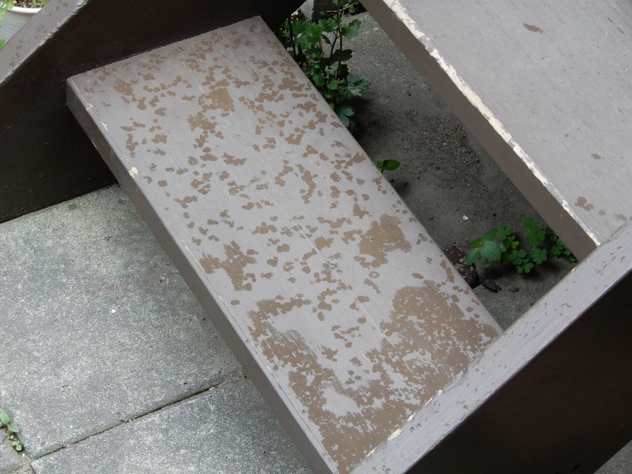 曇ったので涼しくなるかと思ったら暑かった_c0025115_21470197.jpg