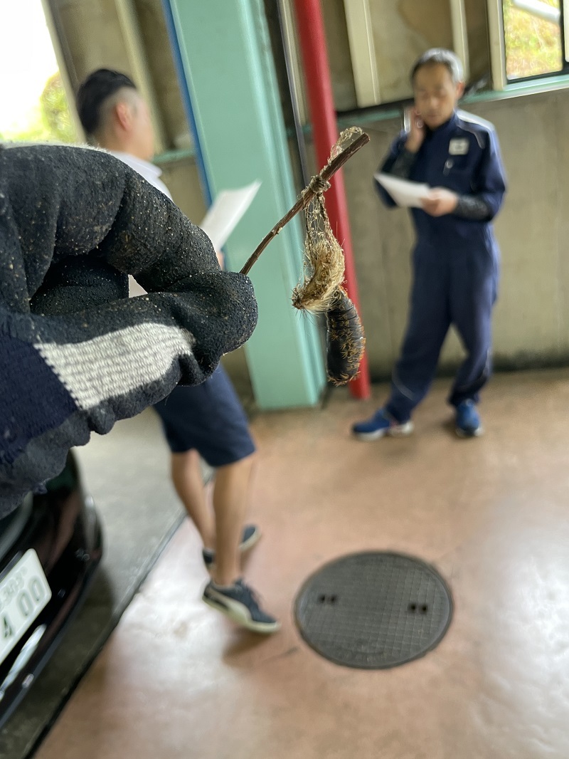 戻り梅雨_f0076731_18315901.jpg