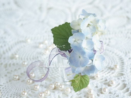 紫陽花のコサージュ 2022 と「恋はみずいろ」_b0255144_01124388.jpg