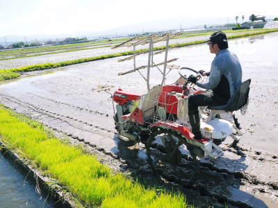 令和4年度の「健康農園」さんの田植えの様子!無農薬栽培の雑穀米、発芽玄米、米粉を大好評販売中!(後編) _a0254656_18140784.jpg