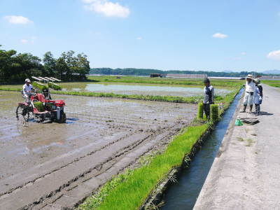 令和4年度の「健康農園」さんの田植えの様子!無農薬栽培の雑穀米、発芽玄米、米粉を大好評販売中!(後編) _a0254656_18200092.jpg