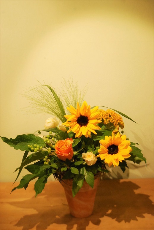 6月の木花 花遊びレッスンのご報告_a0201358_18264606.jpg