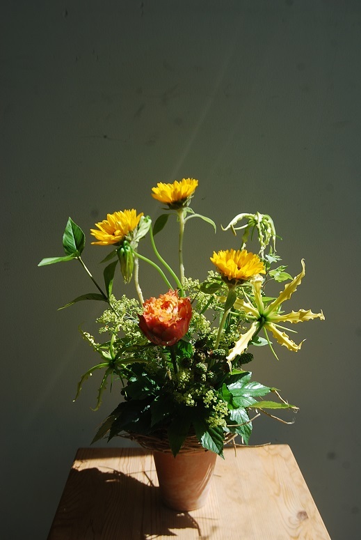 6月の木花 花遊びレッスンのご報告_a0201358_18331370.jpg