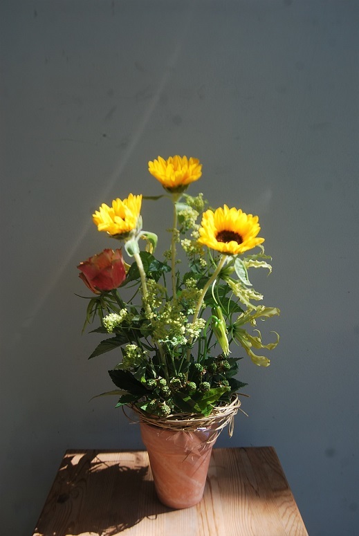 6月の木花 花遊びレッスンのご報告_a0201358_18344423.jpg