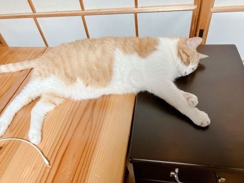 雨の日はグダグダするのが正解_f0054677_12283572.jpg