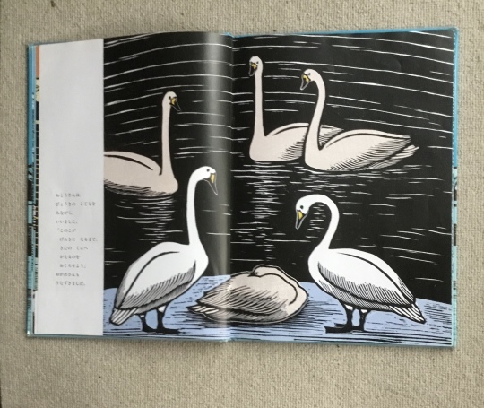 ビックブック、おおはくちょうのそら、手島圭三郎 Amazon.co.jp: おおはくちょうのそら (北の森の動物たちシリーズ