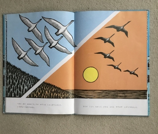 Amazon.co.jp: おおはくちょうのそら 手島圭三郎 手島圭三郎の