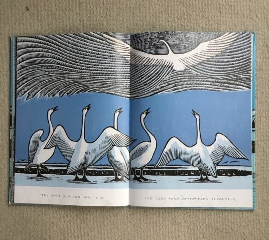 ビックブック、おおはくちょうのそら、手島圭三郎 おおはくちょうのそら：本・絵本：百町森